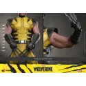 Marvel Wolverine Hot Toys - Buy Now