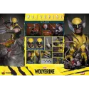 Marvel Wolverine Hot Toys - Buy Now