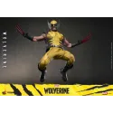 Marvel Wolverine Hot Toys - Buy Now