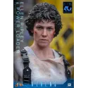 Aliens Ellen Ripley Power Loader Hot Toys - Compra