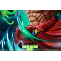 Dragon Ball Z Broly DBZ & Broly DBS Yishou Studio - Buy Now