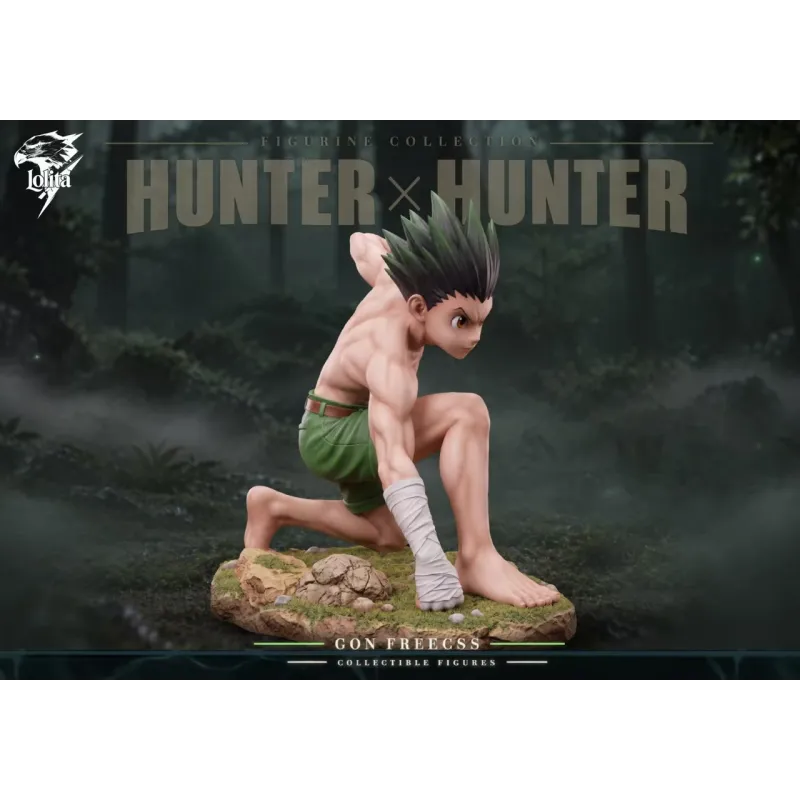 Hunter x Hunter Killua & Gon Lolita Studio - Buy Now