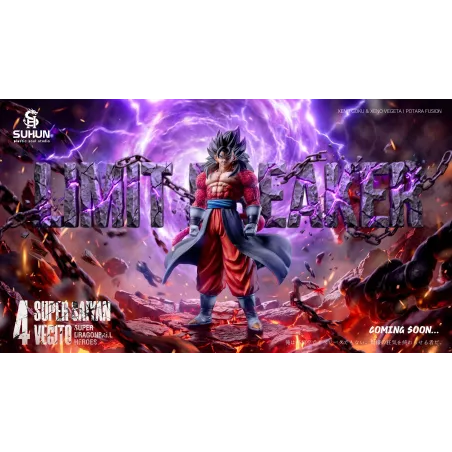 Dragon Ball Heroes Vegetto Xeno Plastic Soul - Buy Now