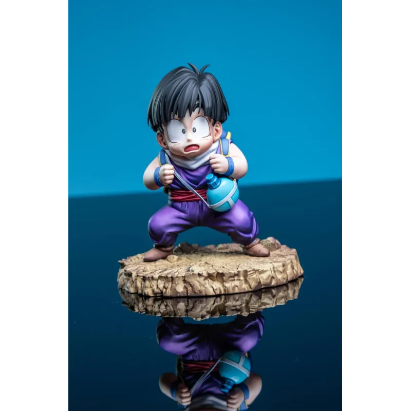Dragon Ball Kid Son Gohan Fan Studio - Collect Now!