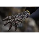 Elden Ring The Black Blade Maliketh Ashes Studio - Buy Now