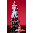 Dragon Ball Z Super Buu APM Studio - Buy Now