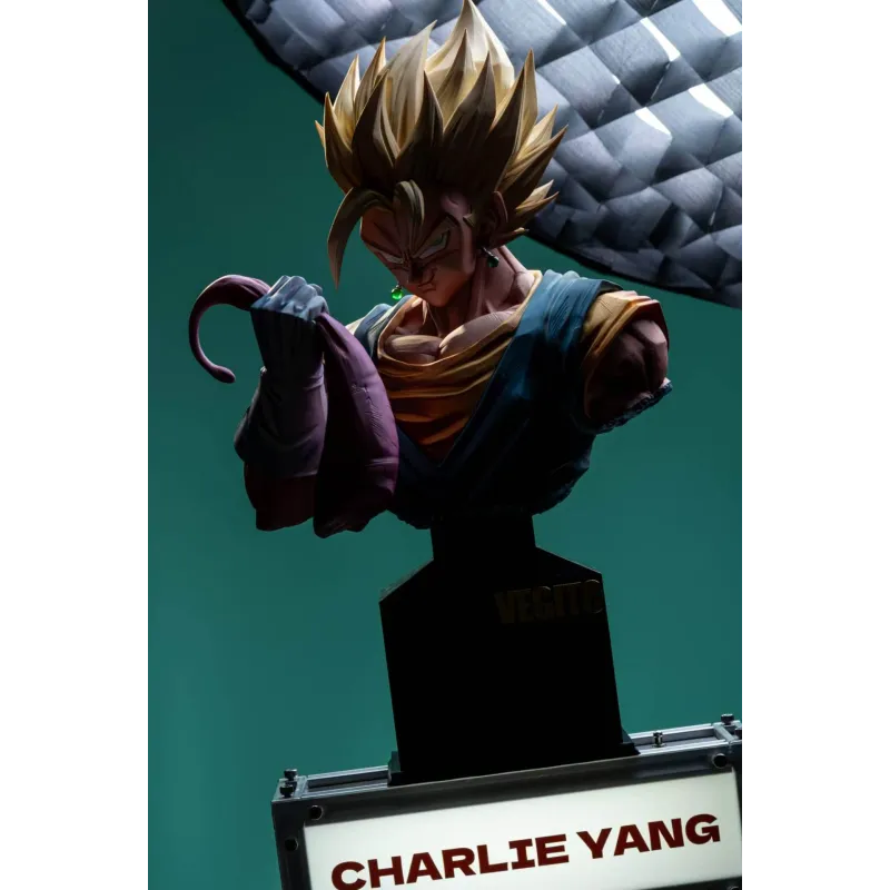 Dragon Ball Z Vegetto SSJ Bust Burnout X Juann Studios - Buy Now